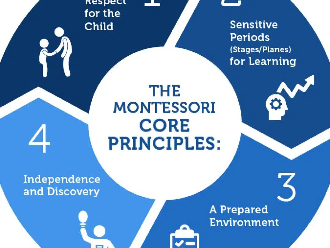 Qual é a Principal Característica da Pedagogia de Montessori? - qual e a principal caracteristica da pedagogia de montessori